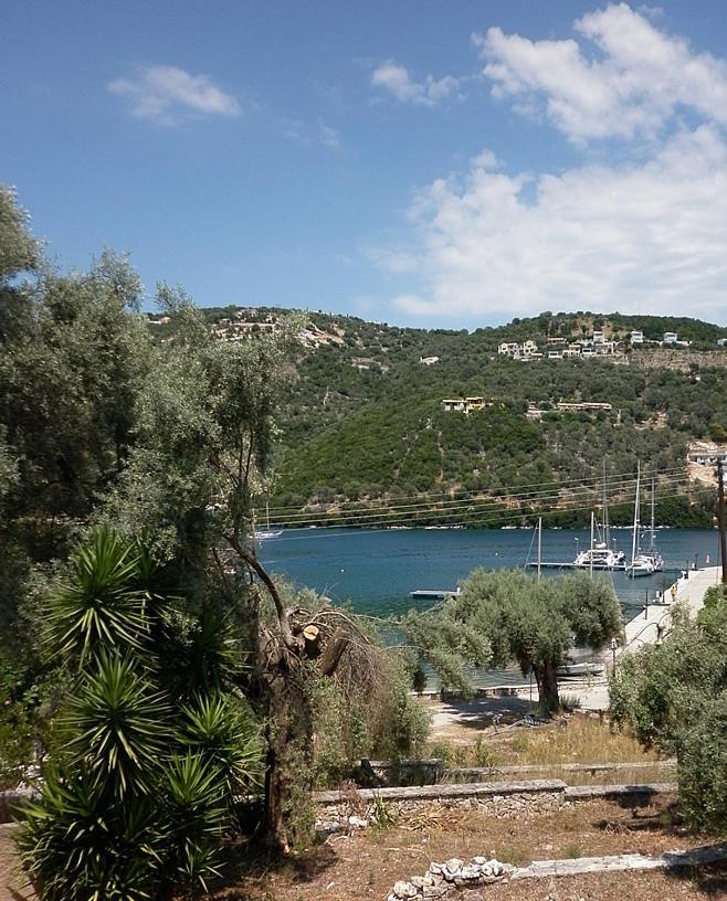 Μπουκαμβίλια - Bougainvillea Sivota  Bagian luar foto