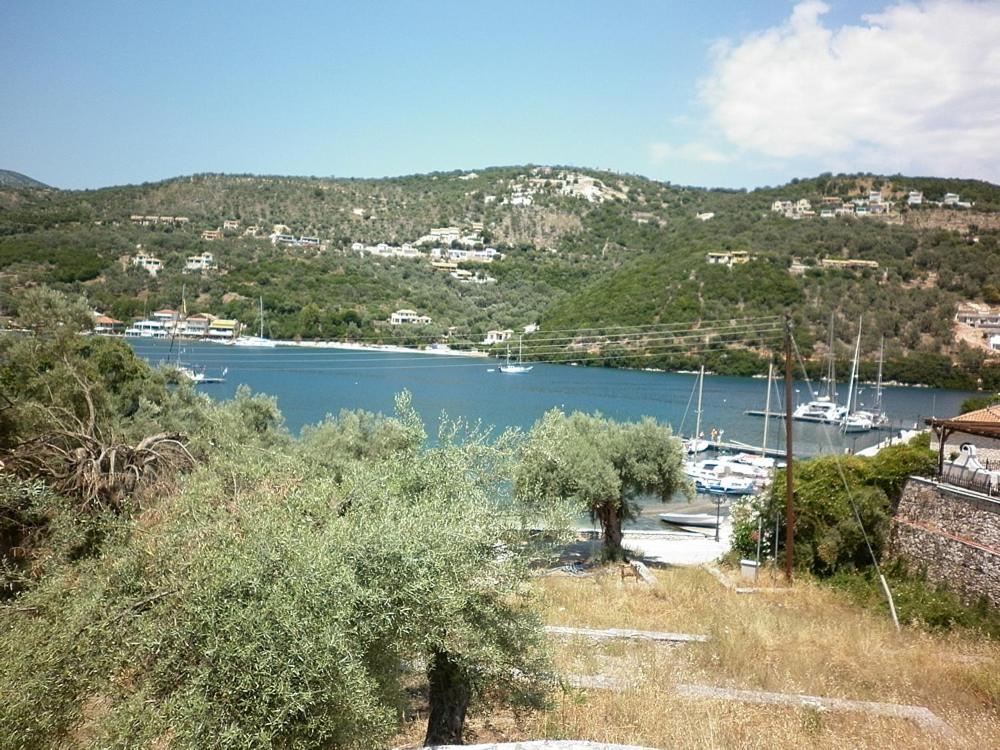 Μπουκαμβίλια - Bougainvillea Sivota  Bagian luar foto