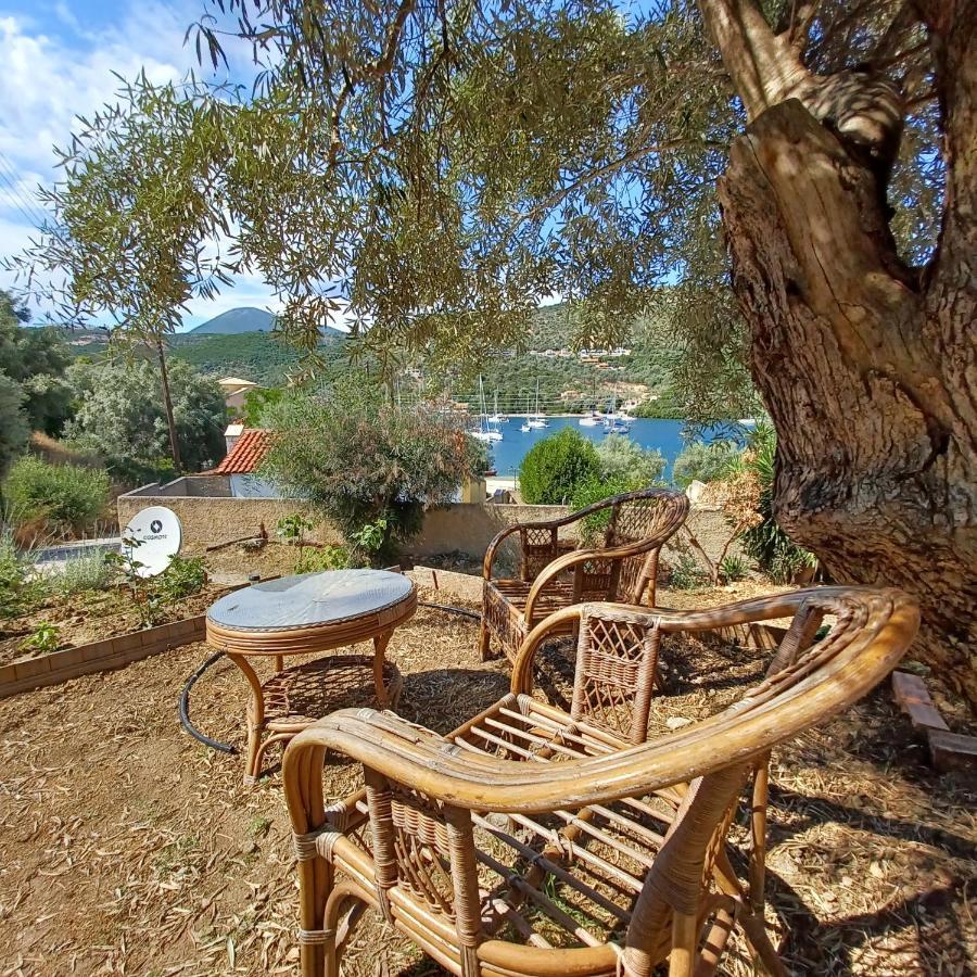 Μπουκαμβίλια - Bougainvillea Sivota  Bagian luar foto