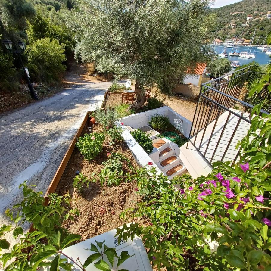Μπουκαμβίλια - Bougainvillea Sivota  Bagian luar foto